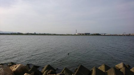 雨上がりチニング