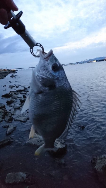 シーズン開幕？