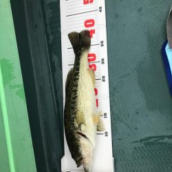 バス釣り40アップ2本