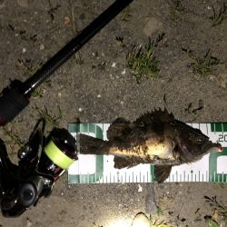 秋田火力メバリング、20cmの壁が厚く高い