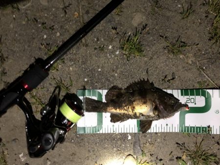 秋田火力メバリング、20cmの壁が厚く高い