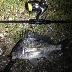 劇浅 淀川チニング