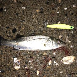 坊主よりはマシか？