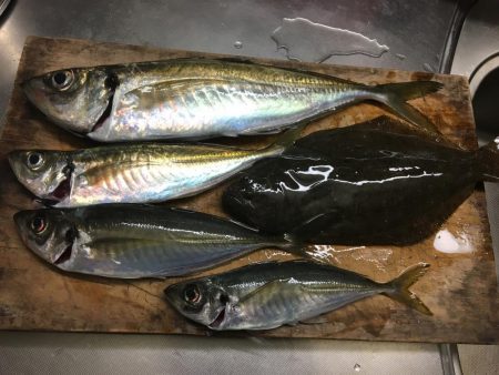 ヒラメちゃん！