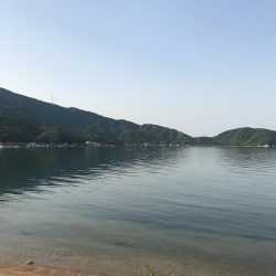 シロギス乗っ込みシーズン到来！