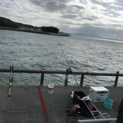 デカヒラメを求めて