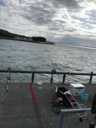 デカヒラメを求めて