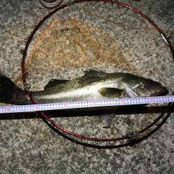 南芦屋浜にて初