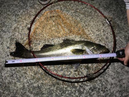 南芦屋浜にて初