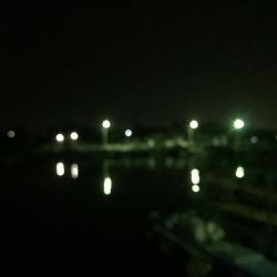 久々のメバルプラッキング