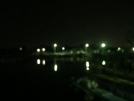 久々のメバルプラッキング