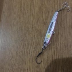 津田南波止で大型エソ