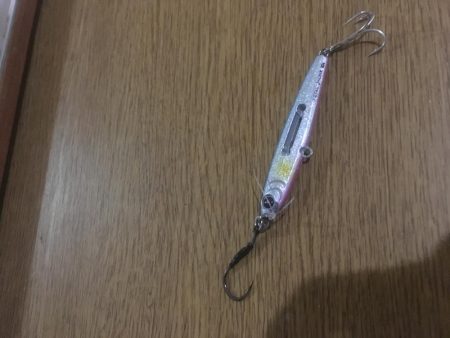 津田南波止で大型エソ