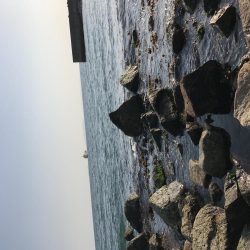 デイゲームにて