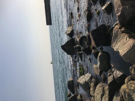 デイゲームにて