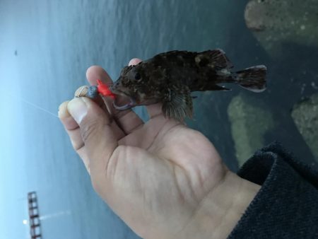 夕まずめ 短時間