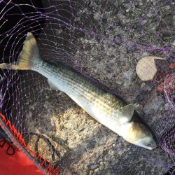 テトラでウキ釣り