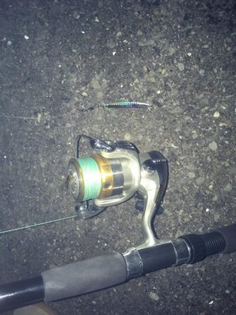 根掛かり→ゴミからの、、、