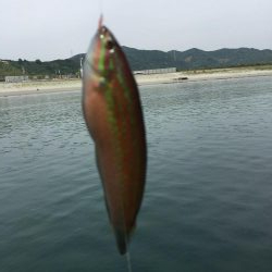 ファミリーフィッシング