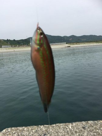 ファミリーフィッシング