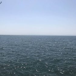 ショアジギング