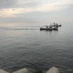 タチウオリベンジ