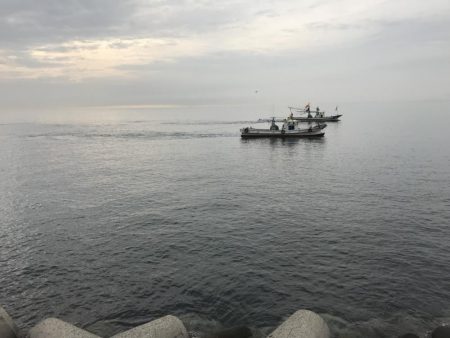 タチウオリベンジ