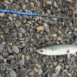 イェーイ!!!松下見てるぅ!!?