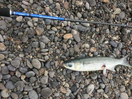 イェーイ!!!松下見てるぅ!!?