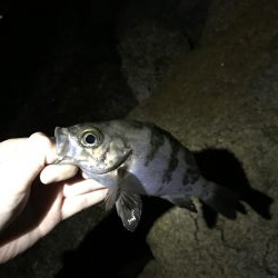 いつもと違うパターン