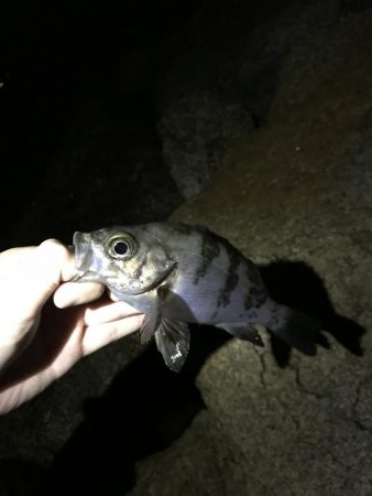 いつもと違うパターン