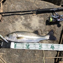 パターンを掴むと