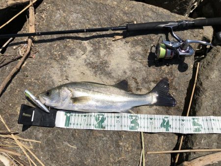 パターンを掴むと