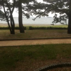 大神子で本命のエソ2