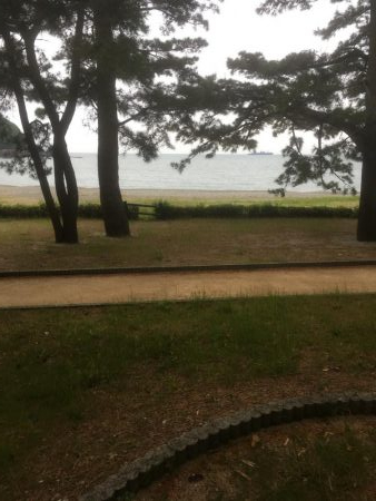 大神子で本命のエソ2