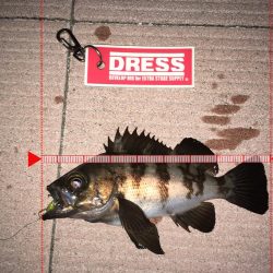 アミパターン！