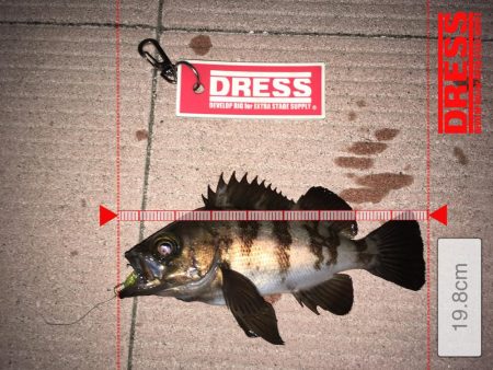 アミパターン！