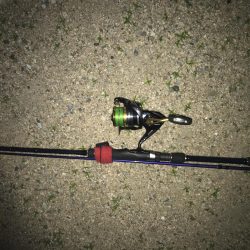 バチがいなくなった(T-T)