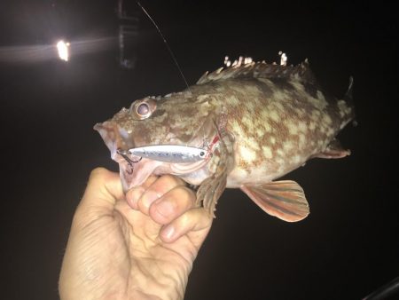 大荒れ後の名港ボートフィッシング!