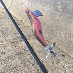 ふらっとエギング