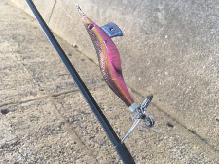 ふらっとエギング