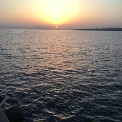 フラットフィッシュ狙い