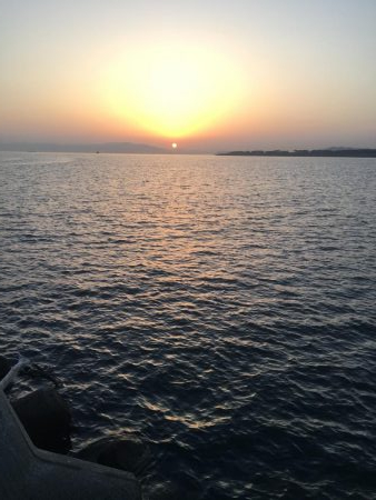 フラットフィッシュ狙い