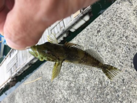 久しぶりのロックシャア