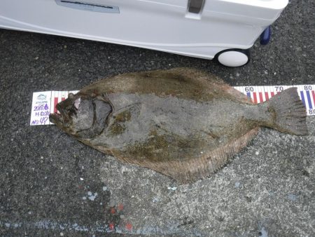 アジのブッコミ