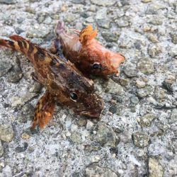 混雑してました。