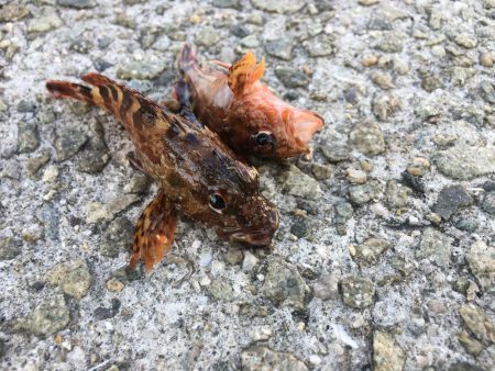 混雑してました。