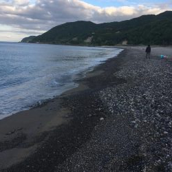 初の青物を求めて！