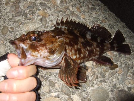 予想外のアミパターン