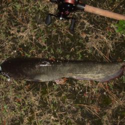 新規開拓で爆釣